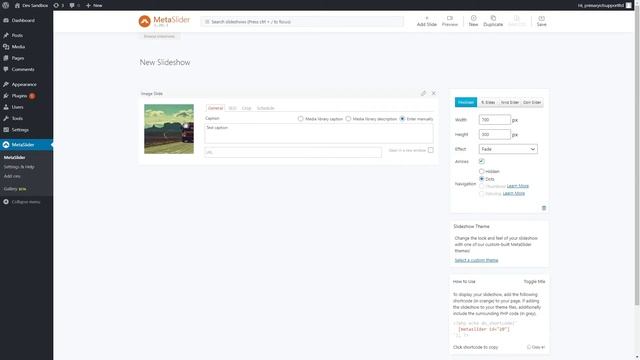 Primary ICT Support - WordPress Tutorial - Adding & Editing Meta Slider смотреть онлайн