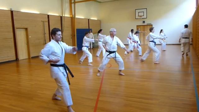 Treningssamling med sensei Poh Lim 6. dan på Otta Shotokan Karateklubb смотреть онлайн