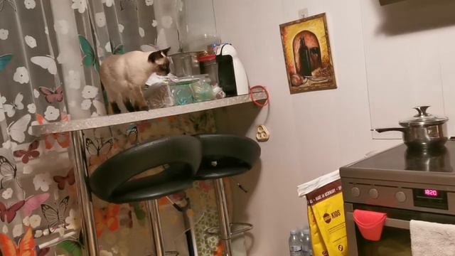 Приехали с рыбалки🎣🥰 смотреть онлайн
