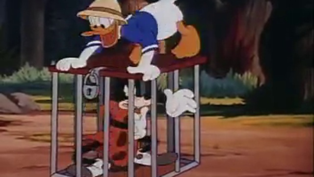 Donald Duck - Classic Disney Cartoons 2015