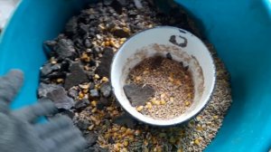 Чем кормлю кроликов в домашних условиях.