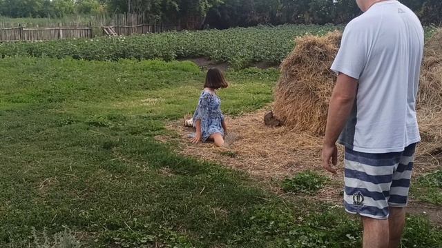 Встреча в Казахстане брата и сестёр. смотреть онлайн