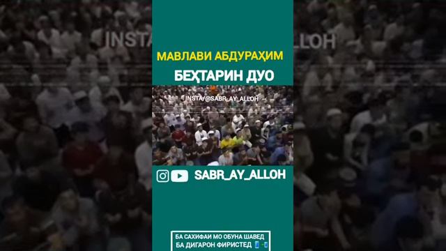 Мавлави Абдуразим бехтарин дуо смотреть онлайн