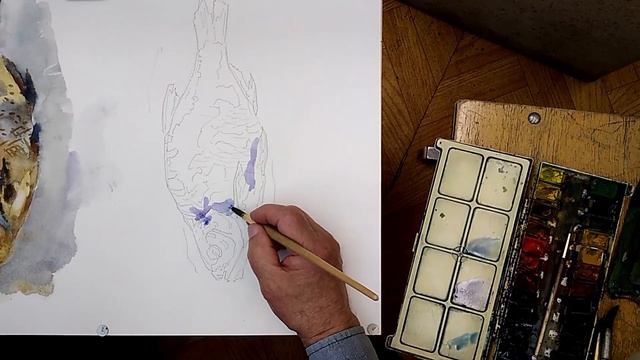 Натюрморт. Вяленая рыба. Рисование в два этапа акварельными красками по сухому листу бумаги. смотреть онлайн