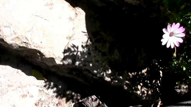 14).Греция.о. Крит п. Георгиоуполис. Экскурсия Леппо-водопады , таверны.Часть 2. Май, 2017г. смотреть онлайн