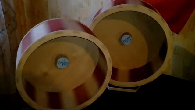 беговое колесо смотреть онлайн