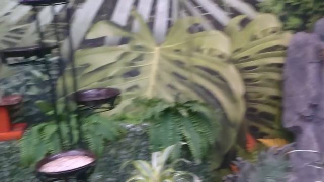 Такого я ещё не видела! Выставка "Планета бабочек" на ВДНХ Киев. Живые бабочки. Тропическая ферма. смотреть онлайн