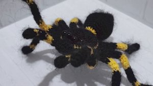 Паук Тарантул (Вязаные игрушки, Птицеед, Вязаный паук)