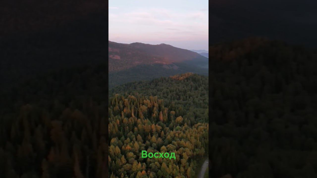 шикарный восход солнца над сибирской тайгой с коптера. смотреть онлайн