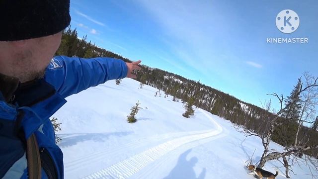 Он едет везде.На ирбисе в тайгу с собакой. смотреть онлайн