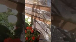 Ремонт мраморных ступеней