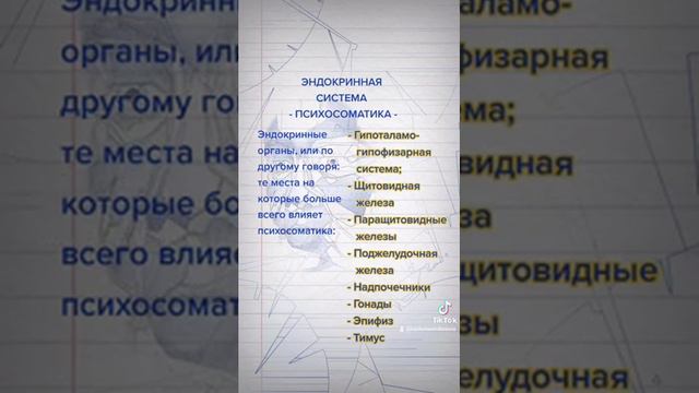 Психосоматика, эндокринная система, список самых эндокринных органов в организме по телу человека смотреть онлайн