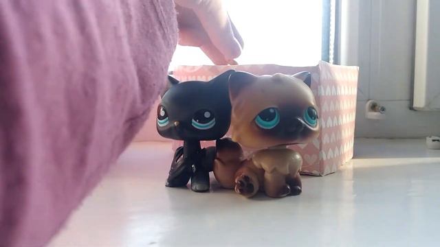 LPS бешенная история одной семьи смотреть онлайн