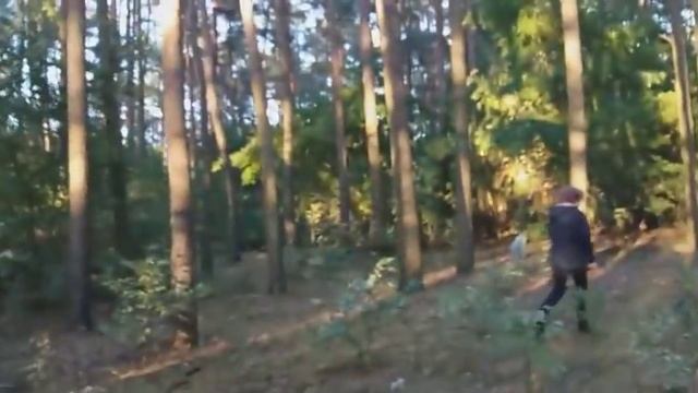 Красивые лебеди. /Прогулка по лесу/Польша.??? смотреть онлайн