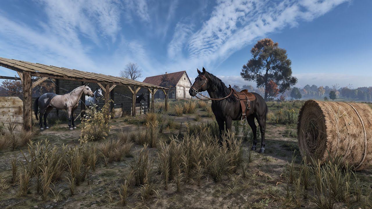 DayZ Apocalypse HORSE