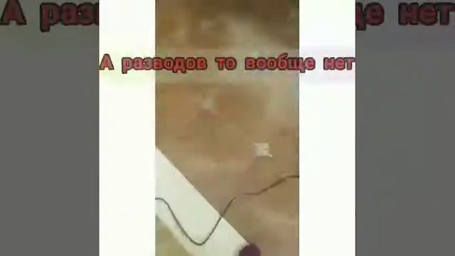 Прогенералила весь дом с помощью одной швабры! Обзор пароочистителя 5 в 1 Kitfort kt-1005-1. смотреть онлайн