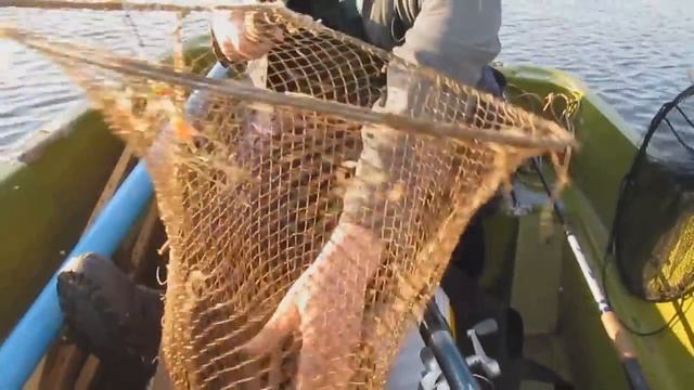 Очень крупный лещ / Very large bream смотреть онлайн