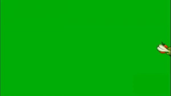 Green screen Firework Celebration #3. Firework green screen. Fireworks animation video green screen