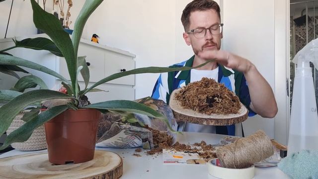 Проект с папоротниками. Платицериум и Асплениум. Декор своими руками. смотреть онлайн