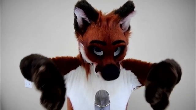 1000 subscriber special ~ 40 minutes of paw rubs смотреть онлайн