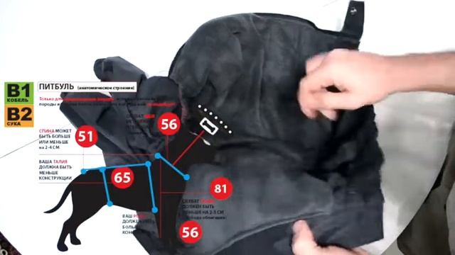 Зимний комбинезон для крупных пород собак ПИТБУЛЬ, (Кобель) смотреть онлайн