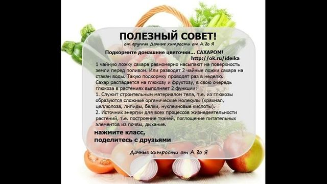 Полезные советы Дачникам и садоводам Дачные хитрости от А до Я 8 смотреть онлайн