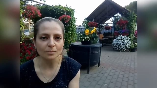Удобрение азофоска от фертики, выводы. Как выглядит петуния без стрижки осенью. смотреть онлайн