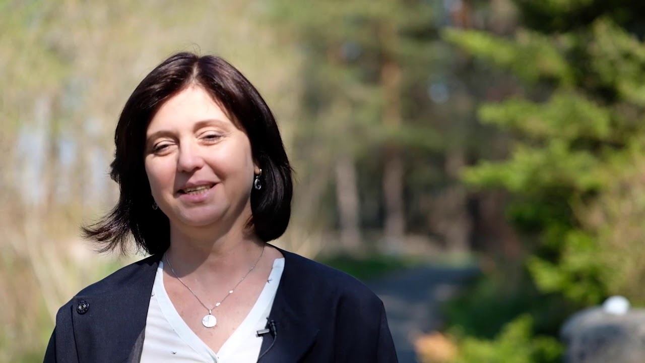 Карелия | Курортный расчет смотреть онлайн