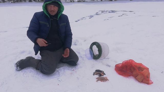 Как легко почистить окуня за несколько секунд смотреть онлайн