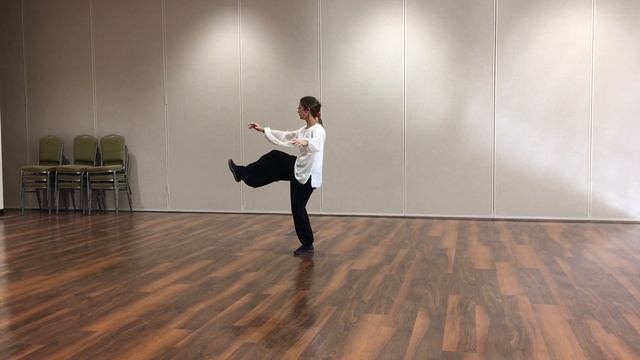 Sun Style 73 Tai Chi Back View смотреть онлайн