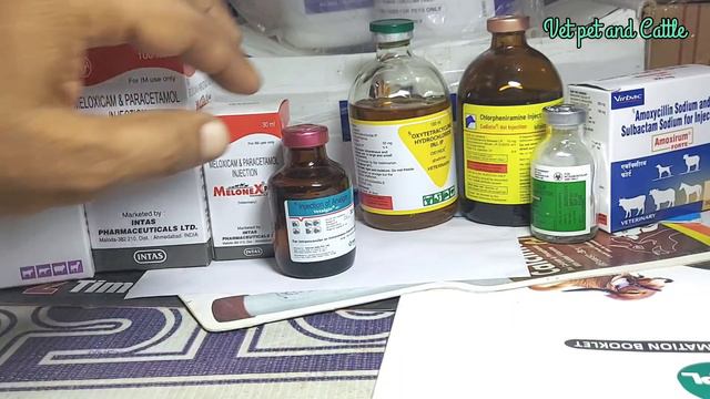 भेड़ बकरियों के बुखार में कौन से इंजेक्शन लगाए||Sheep Goat ke Fever mein konse injection lagaye смотреть онлайн