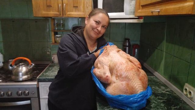 Зверьё моё😊Отдаем котят в добрые руки.Утки подросли.Кролик драчун. смотреть онлайн