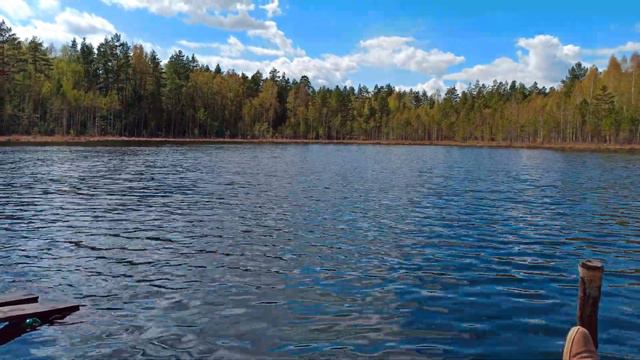 лесное озеро в мае смотреть онлайн