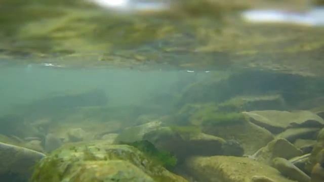 Pentax Optio W60 смотреть онлайн