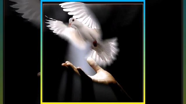 К,иссае аз Зиндаги., 👍✍️☝️☝️Бо овози нотакрори шодравон, "Кароматулло Курбонов." смотреть онлайн