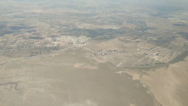 #19 Поймал Camponotus fellah в Тунисе, поиски маток часть 2 + муравьи из коллекции смотреть онлайн