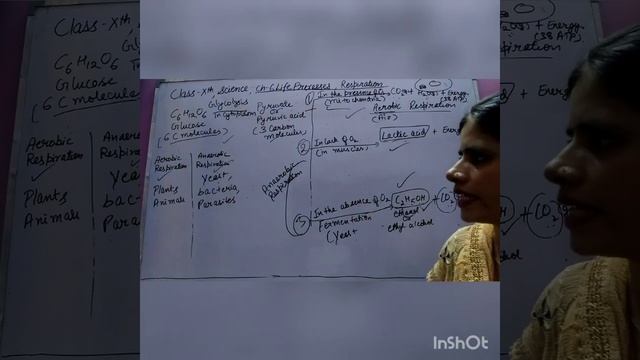 Class10th,Science,Ch6Life Processes,Concept-Respiration,it's types and respiration in living organi смотреть онлайн