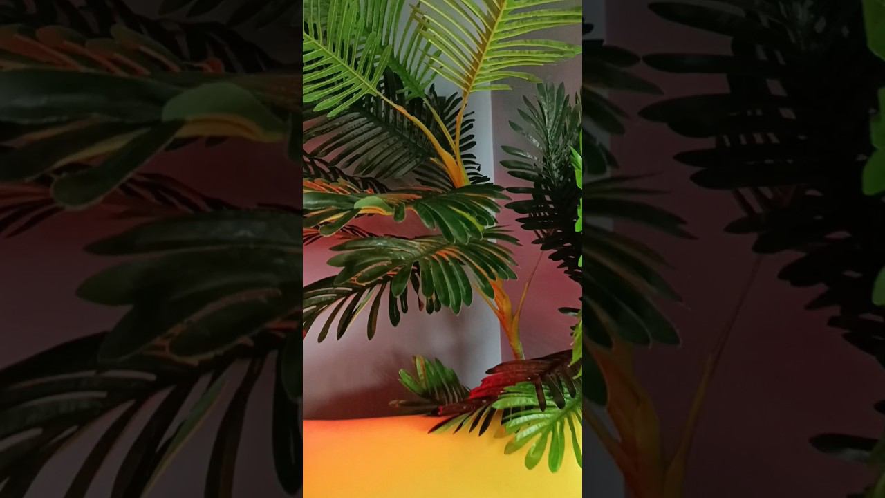 What are you doing? смотреть онлайн