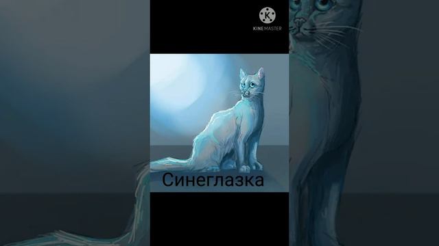 Топ 4 пары популярных сестёр •коты воители• смотреть онлайн