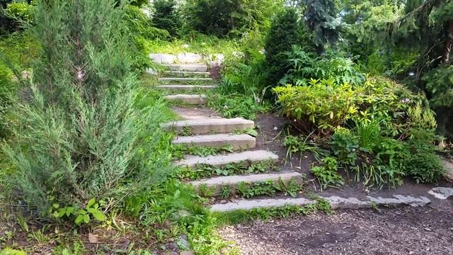 Москва. "Аптекарский огород" Ботанический сад МГУ. Выставка пионов смотреть онлайн