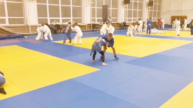 ДЕНЬ БОРЬБЫ ПО САМБО И ДЗЮДО. САМБО ДЕТИ смотреть онлайн