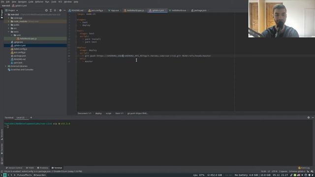 Continuous Integration and Deployment (CI/CD) Intro смотреть онлайн