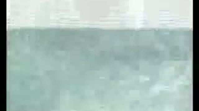 Чи-по-ли-но!