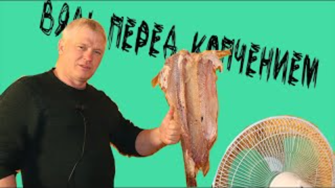 Готовлю щуку к копчению Немного повялим, а потом закоптим смотреть онлайн