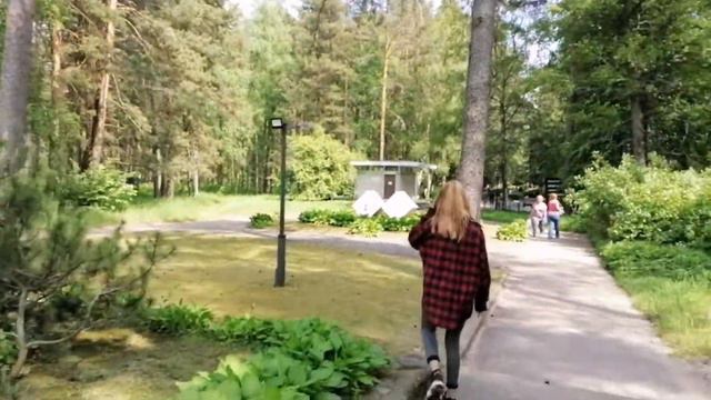 "Сестрорецкий курорт". 6.06.2021. смотреть онлайн