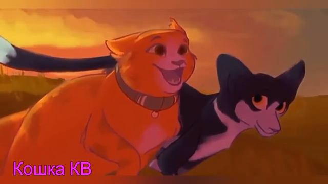 КЛИП~Коты-Воители--Твой пол мужской