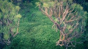 "ЗАЦЕПИЛА ЧЕМ ТО ПРОСТО ТАК"-EDGAR