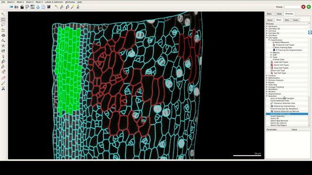 Movie 2 SVM Cell Type Classification смотреть онлайн