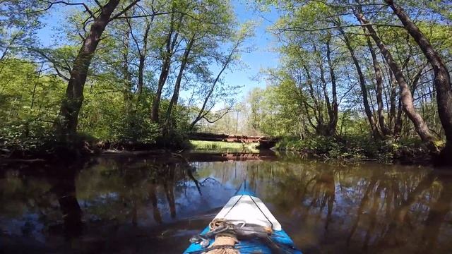 Отрывок из видео про сплав смотреть онлайн