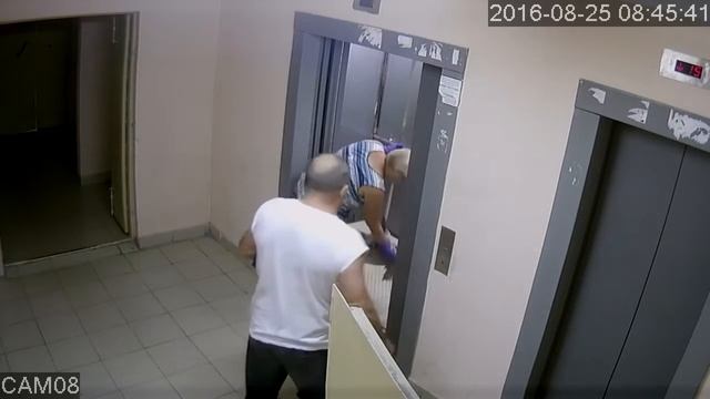 Видеокамера Tigris TAL D10 день смотреть онлайн